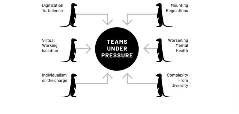 Teams under pressure